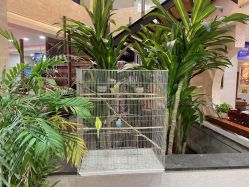 -糖豆儿童摄影(东南湖大路店)