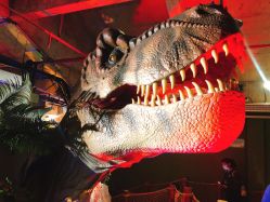 -恐龙探索乐园(磁器口店)