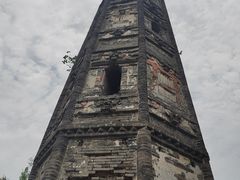 -上海佘山国家森林公园天马山园