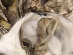 -小欢喜烧烤大排挡•龙虾(南车站路店)