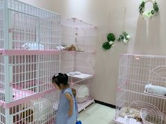 -藏猫猫咖啡主题馆(中央大道店)