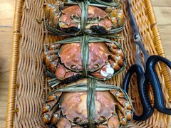 -品鲜村农家菜·阳澄湖大闸蟹(总店)