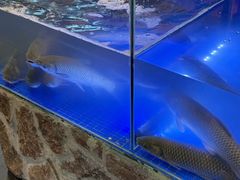 -后院烤吧·木炭烧烤·烤鱼·云贵川火锅(忻州古城店)