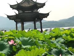 -西湖外事游船(花港观鱼码头)