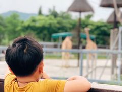 -上方山森林动物世界