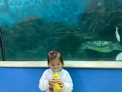 -苏州海洋馆