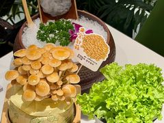 -烹然四季椰子鸡火锅(姚家园万象汇店)