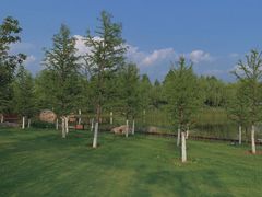 -商丘古城-应天书院