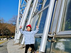-北京植物园-展览温室
