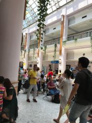 -上海交通大学医学院附属上海儿童医学中心(陆家嘴总院区)
