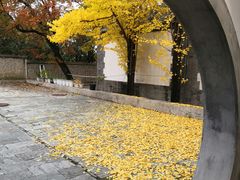 -北京鹫峰国家森林公园