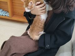 -宠颐生汉谟拉比宠物医院