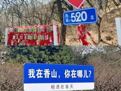 -香山公园