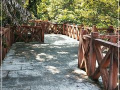 -广州市流溪河国家森林公园