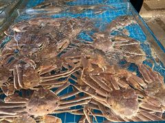 -新丁香海鲜酒店(银海商贸城店)