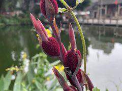 -黄埔古港