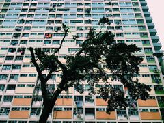 -彩虹村