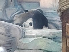 -泉州海丝野生动物世界