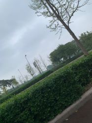 -HEYAN长风荷妍专业脱毛美肤
