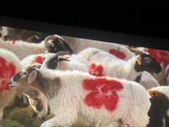 -山文星辉影城(济南和谐广场店)