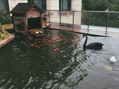 -南京圣和府邸豪华精选酒店