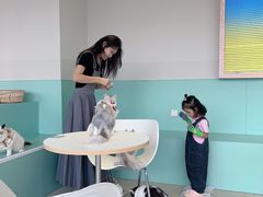 -怪兽屋·羊驼·猫咖·狗咖(俊华广场店)