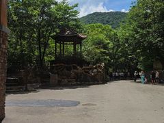 -本溪汤沟绿石谷森林公园
