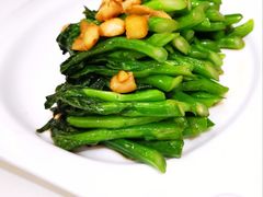 -皇朝尊会(龙之梦大酒店)