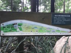 -成都市活水公园