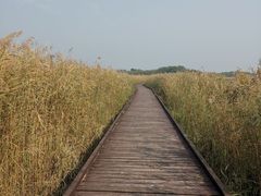 -西青郊野公园