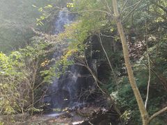 -本溪汤沟绿石谷森林公园