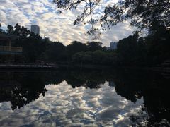 -晓港公园