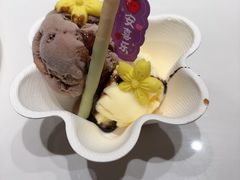 -阿露佳·舌尖上的安吉菜