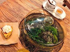 -自由生长植物工作室(深港花卉中心店)