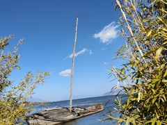 -洱海月湿地公园