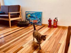 -猫的天空之城概念书店(苏州平江店)