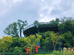 -飞凤山奥体公园