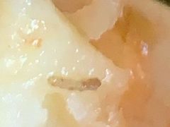 -星巴克(虹口运动loft店)