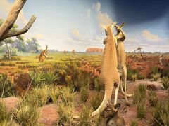 -陕西自然博物馆