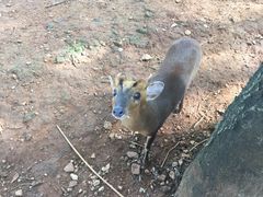-昆明动物园