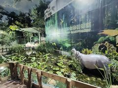 -正佳雨林生态植物园