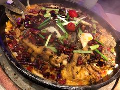 -老板恋上鱼(恒隆广场店)