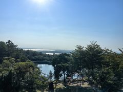 -广州莲花山旅游区