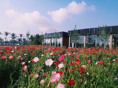 -七曲山风景区