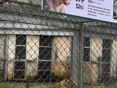 -合肥野生动物园