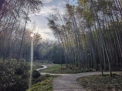 -采石矶景区