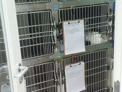 -纳吉亚猫专科动物医院博雅分院