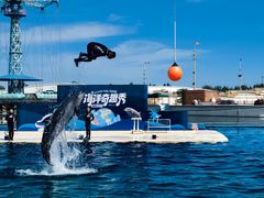 -秦皇岛乐岛海洋王国