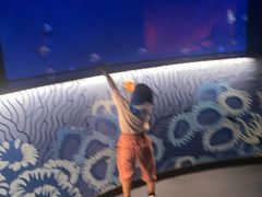 -沈阳海洋探索中心