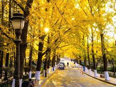 -八大关景区